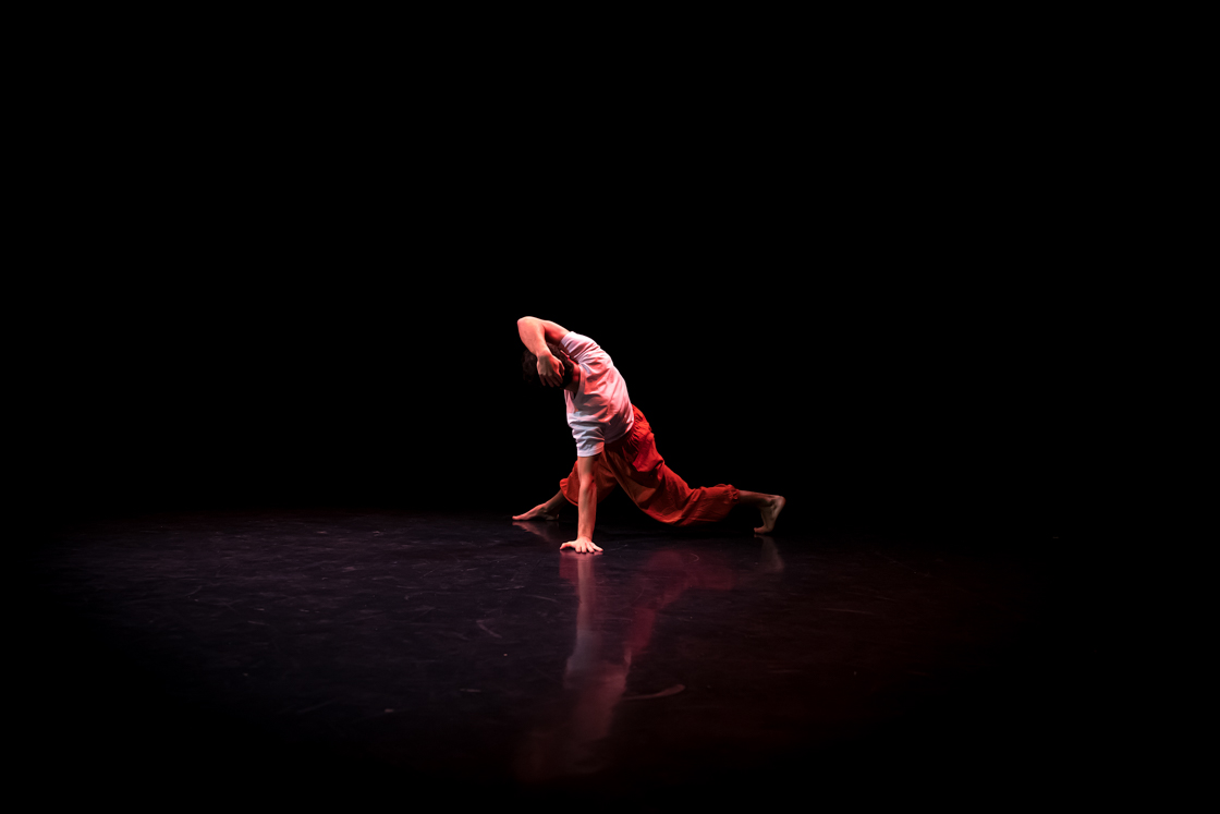 Photographie spectacle vivant danse Lyon