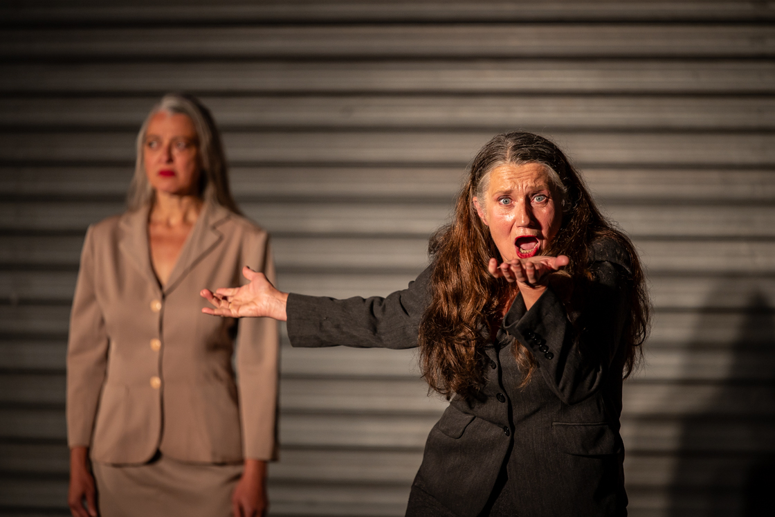 Photo spectacle M.A.M.A.E Magma performing theatre ateliers frappaz villeurbanne