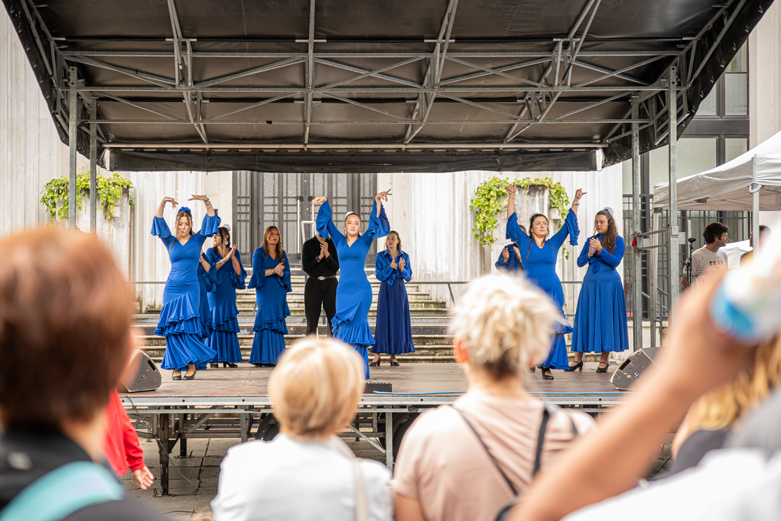 Danse traditionnelle Villeurbanne